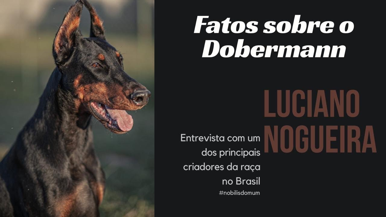Fatos sobre o DOBERMAN - Entrevista com Luciano Nogueira
