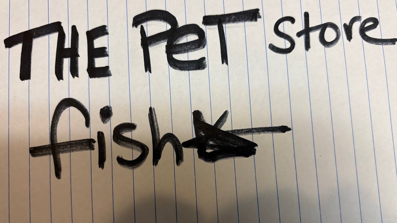 THIS PET STORE HAS AN aquarium OF FISH 