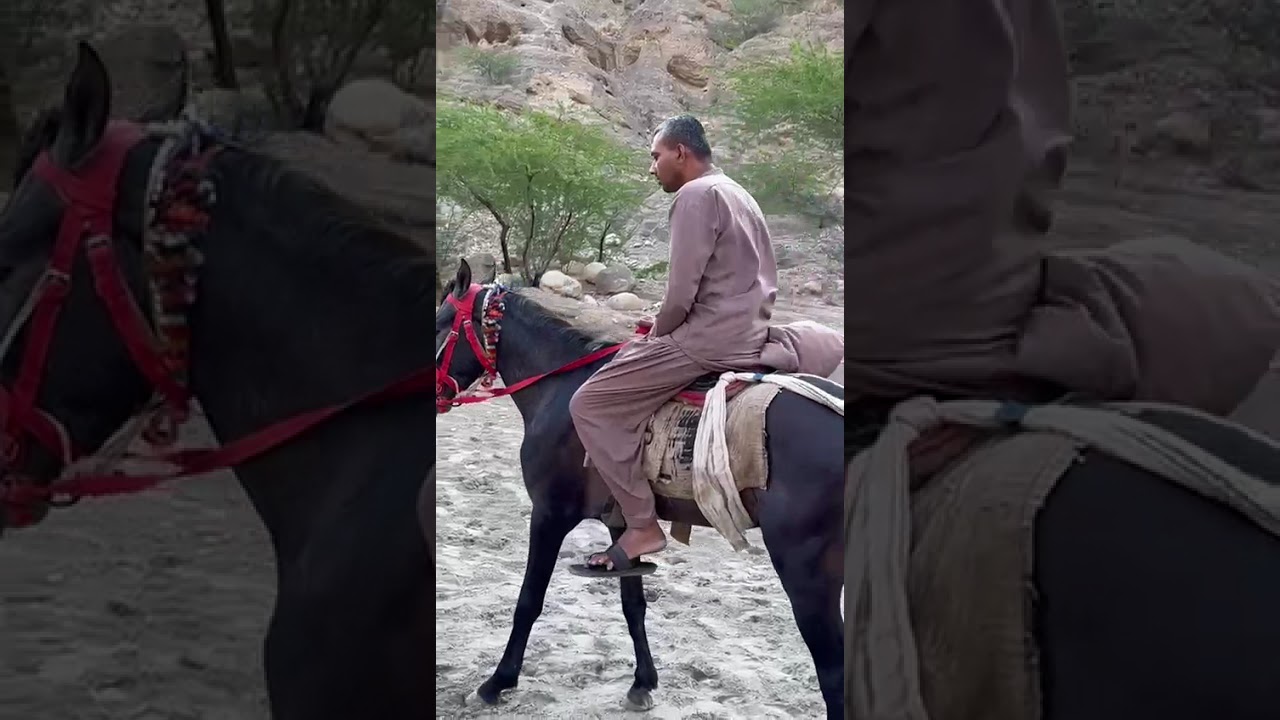 #dr Suleman# Viral Video 2026#2026goals