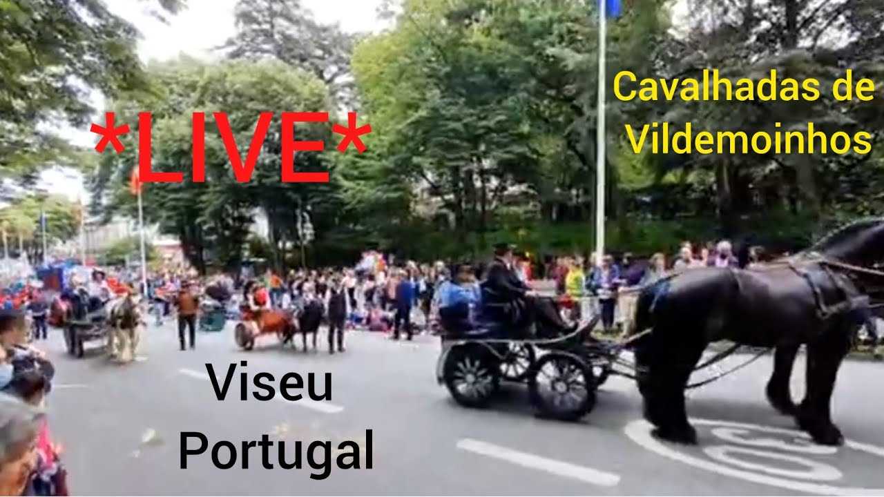 Cavalhadas de Vildemoinhos 2022   Viseu | Portugal *LIVE*