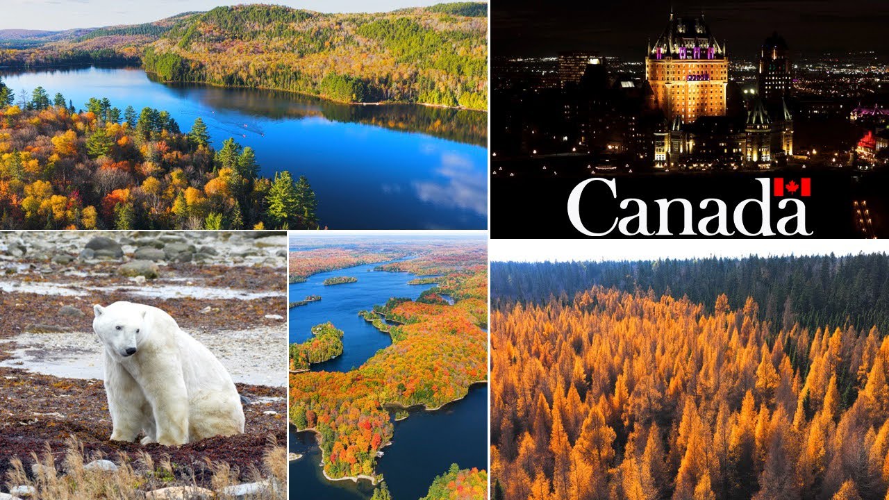 CANADA 🇨🇦 Été indien et Ours polaires
