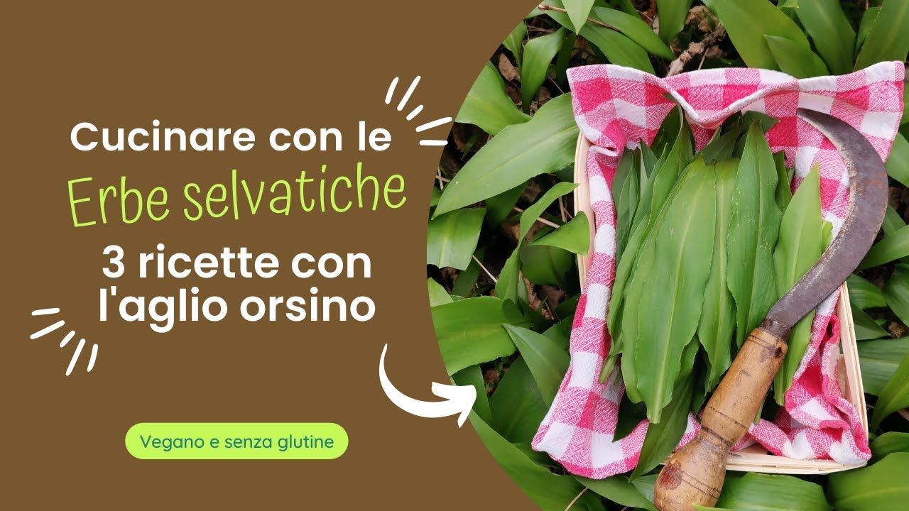 Cucinare con le erbe selvatiche: tre ricette con l'AGLIO ORSINO 🐻 (+bonus: pasta pizza gluten free!)