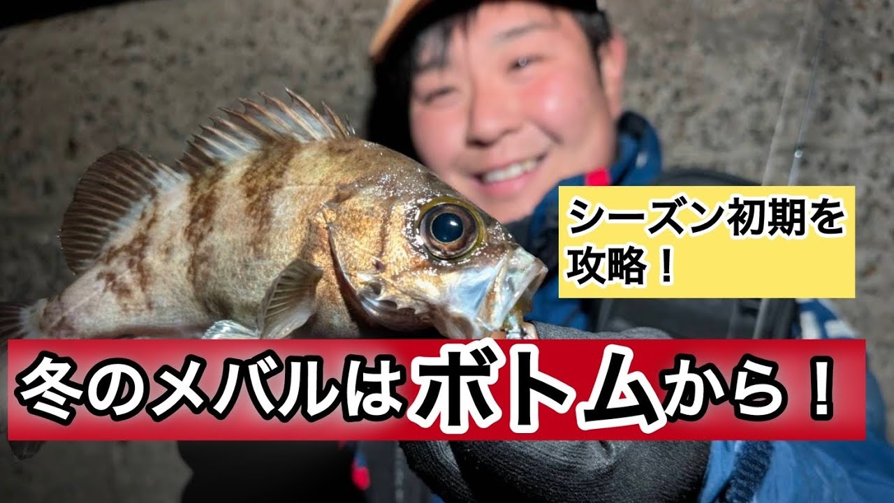 【メバル】冬のメバルはボトムから！