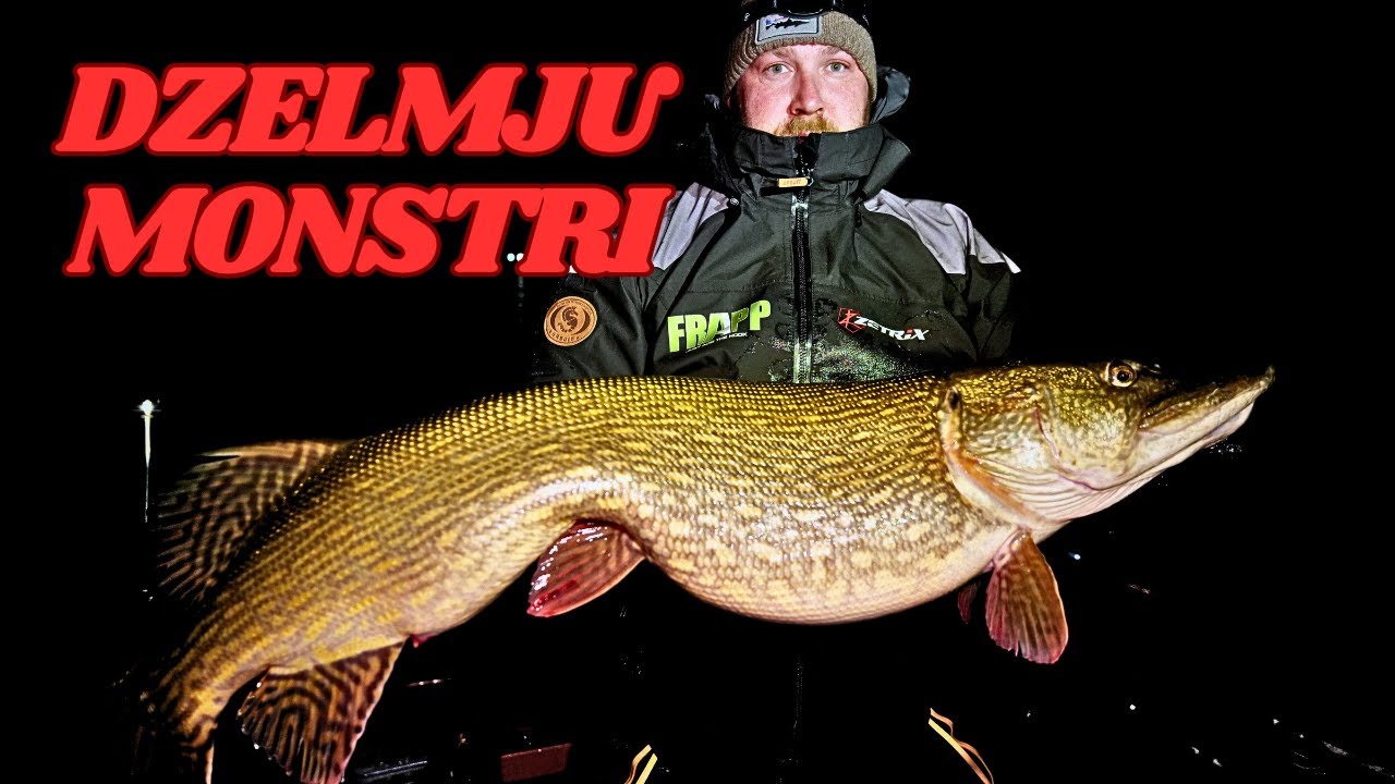 Dzelmju monstri