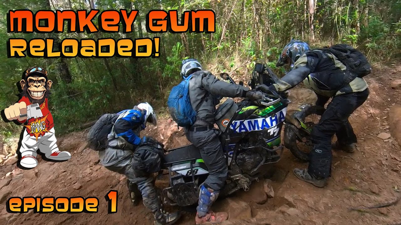 Monkey Gum Reloaded! Эпизод первый. Приключенческие мотоциклетные гонки.