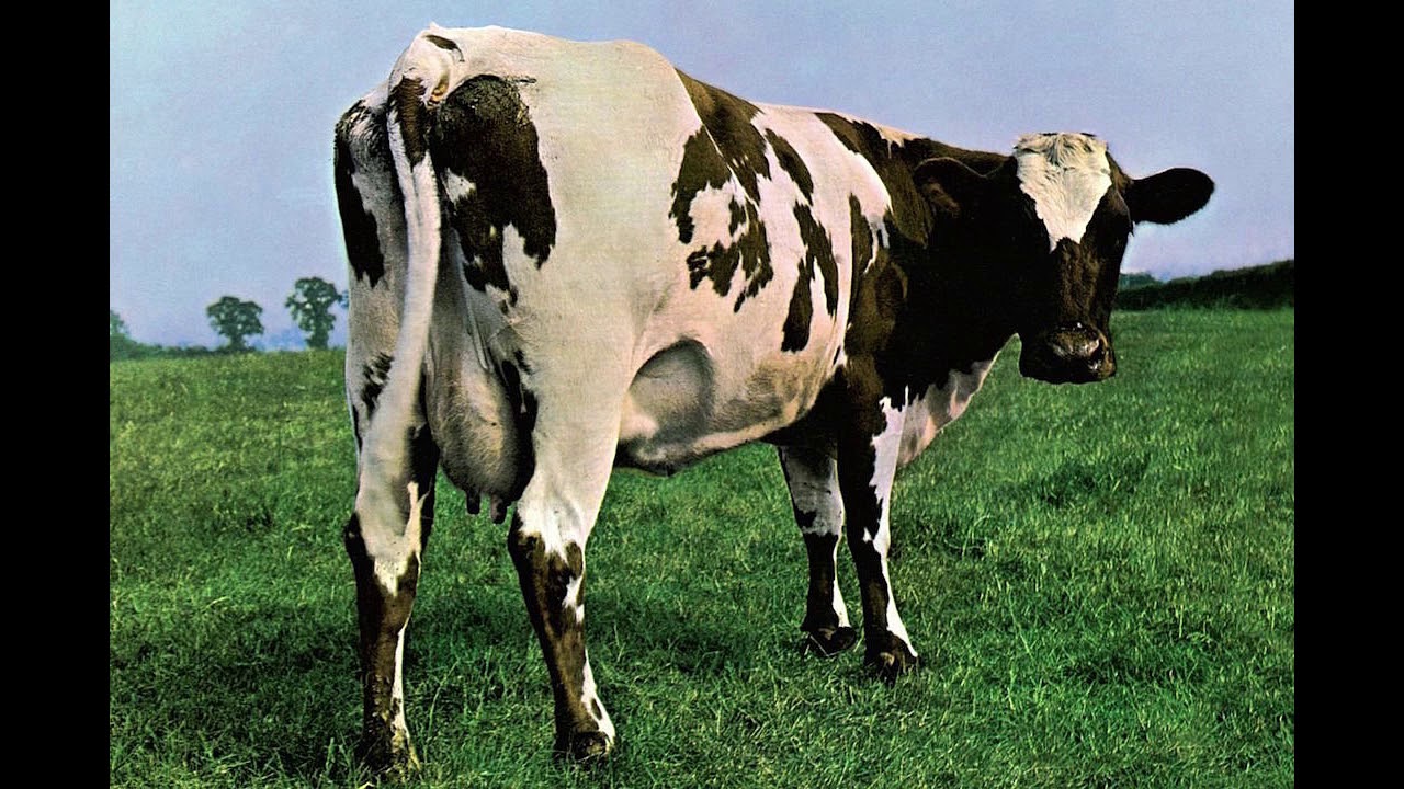 Wesk - Atom Heart Mother [Pink Floyd cover]