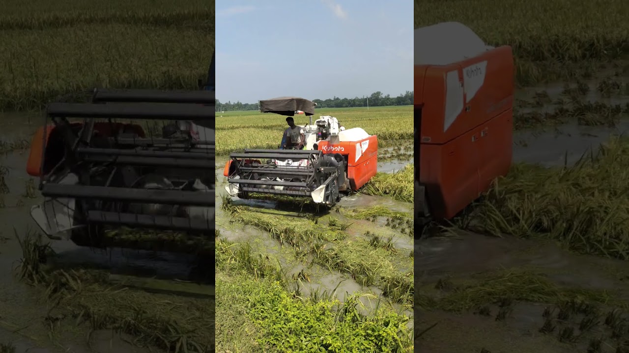 Kubota King pro 🌾