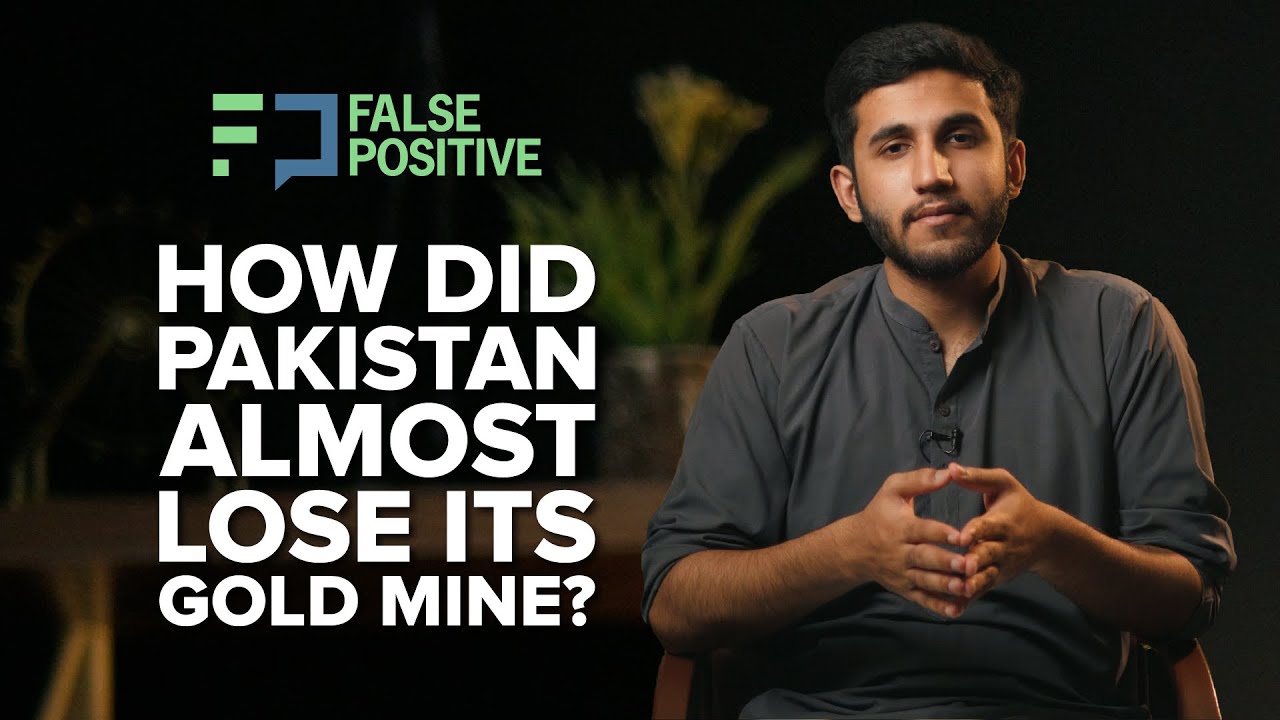 What is the Reko Diq case? | False Positive