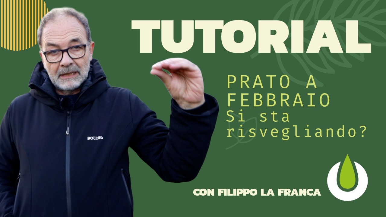 OCCHIO AL PRATO - Febbraio: il prato si risveglia?