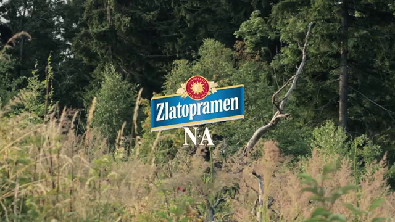 IDF Kozakov Challenge 2013