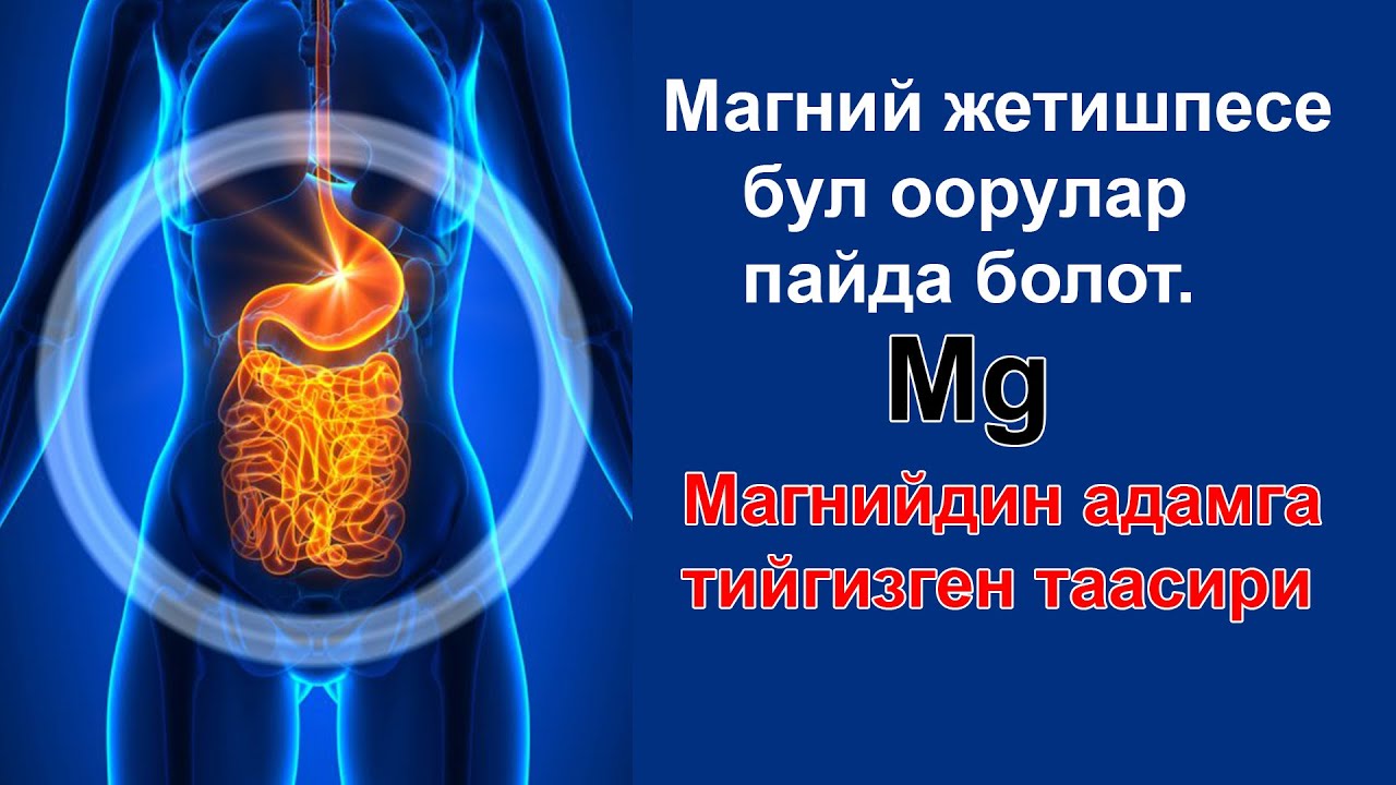 Магний жетишпесе ден-соолук эмне болот? Магнийди кайсыл азыктардан алабыз. Дег-соолук