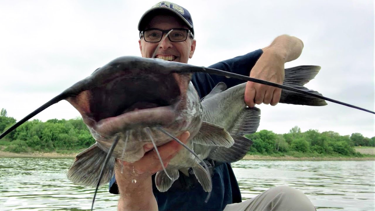 SHE ALMOST TOOK IT! Fighting Giant Catfish from the Bank