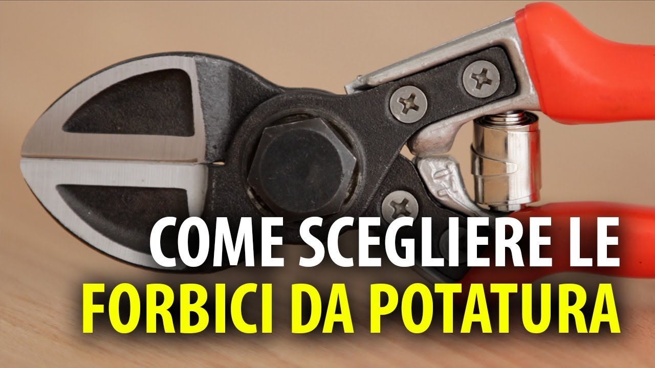 COME SCEGLIERE LE FORBICI DA POTATURA