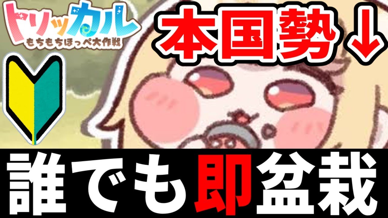 本国勢が教える！とりあえずキープしたい人からガチ勢までスターターガイド！初心者攻略【トリッカル・もちもちほっペ大作戦】