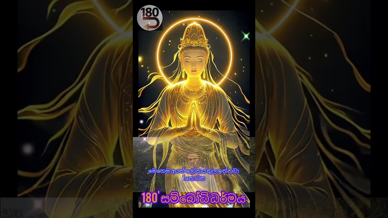 ඇයි මේ කුට්ටි කුට්ට් හැදෙන්නේ