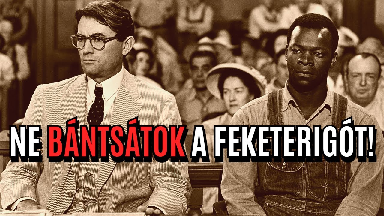 Rasszizmus egy gyerek szemszögéből - Ne bántsátok a feketerigót! elemzés