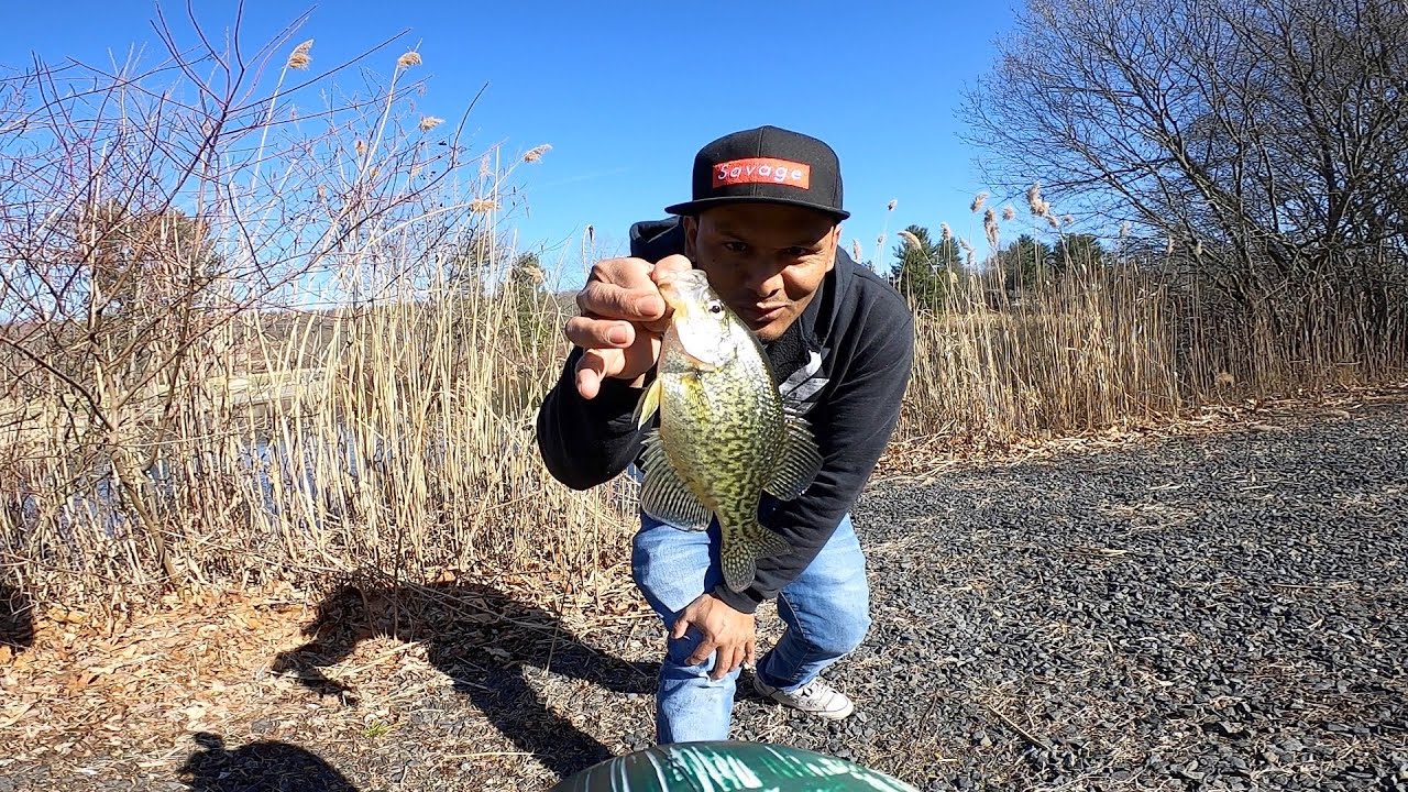 el mejor señuelo para mojarras y peses de agua dulce en general