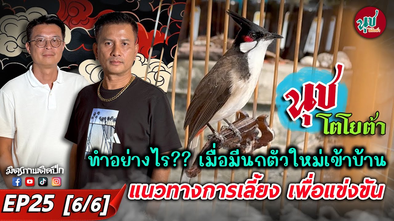 ทำอย่างไร?? เมื่อมีนกตัวใหม่เข้าบ้าน l แนวทางการเลี้ยง เพื่อแข่งขัน โดย