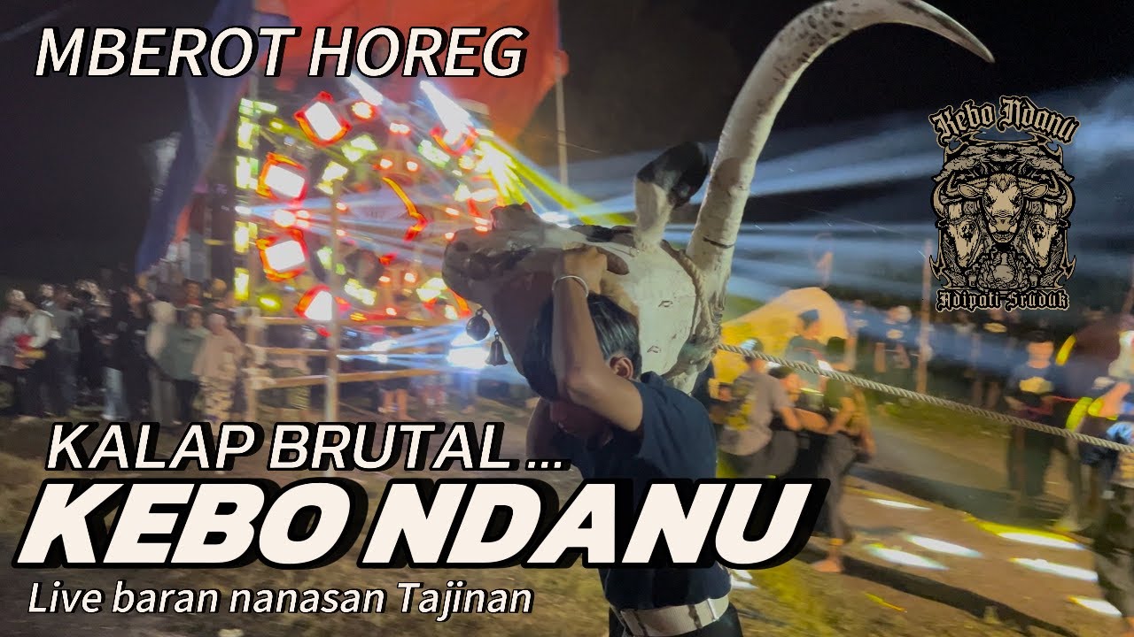 MBEROT HOREG KEBO NDANU Adipati sruduk live baran nanasan Tajinan 
