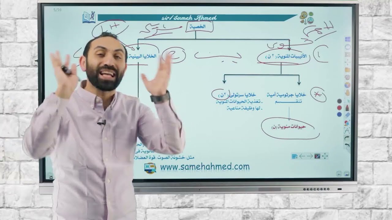شرح درس التكاثر في الانسان للصف الثالث الثانوي (الجزء الأول)
