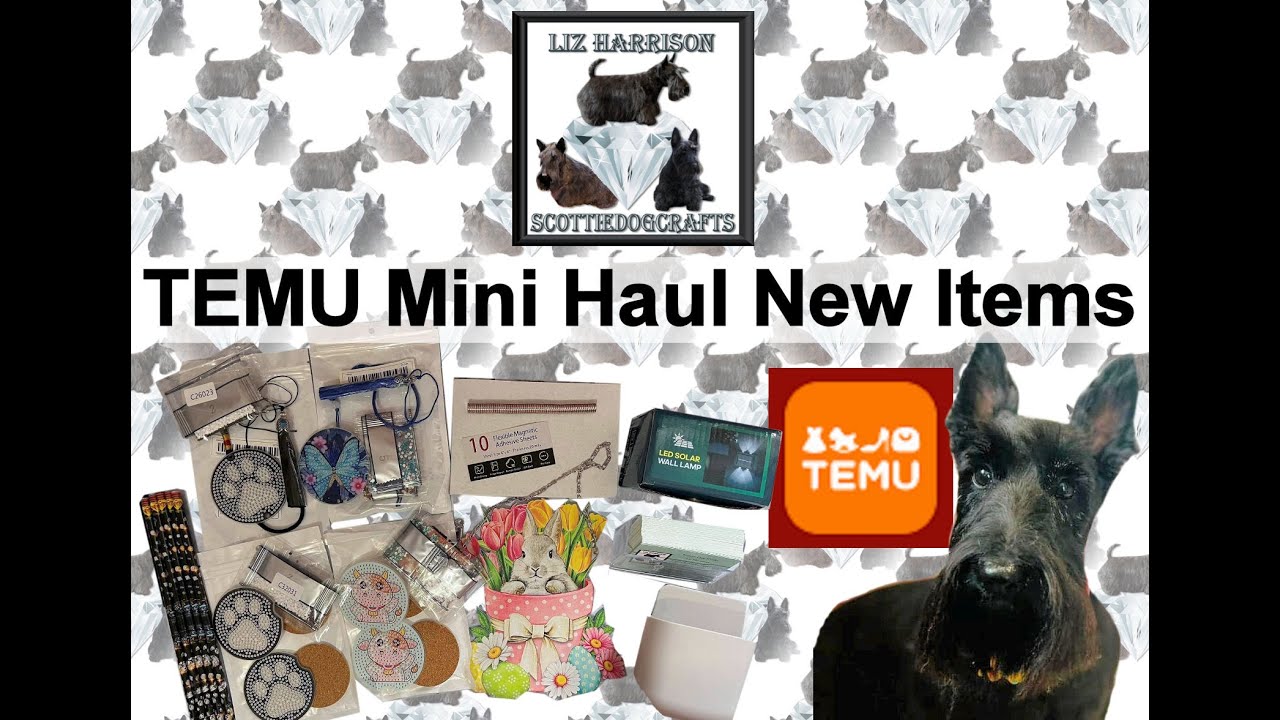 Diamond Painting | UNBOXNG | TEMU |Good or not ? | New Products for a Car | #temu #temuhaul