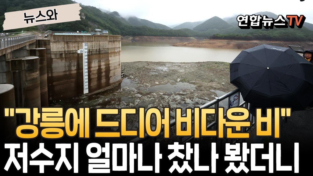 최악 가뭄에 소중한 '황금비' 내린 강릉｜오봉저수지로 몰린 시민들 