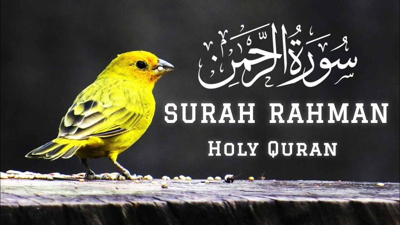 Surah Ar-Rahman سورة الرحمن | Heart-Touching & Emotional Tilawat #holyquran