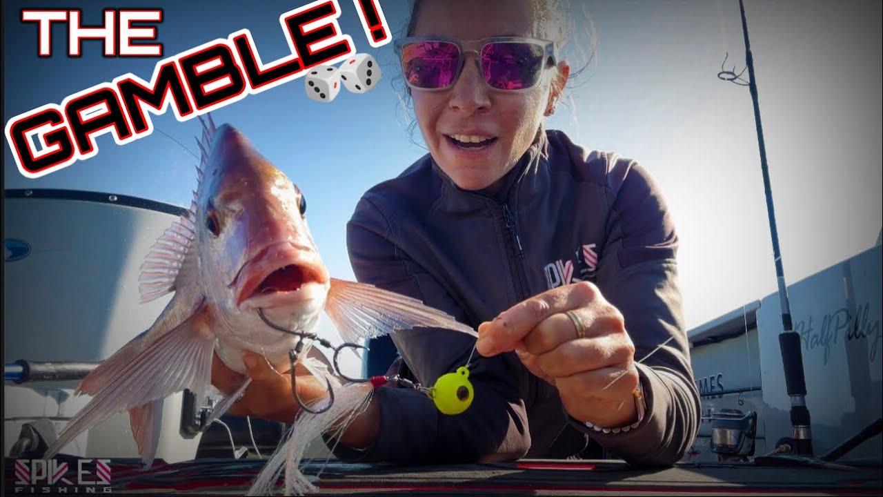 BLOOMING Snapper! - The Gamble: Offshore Solo Fishing Sydney
