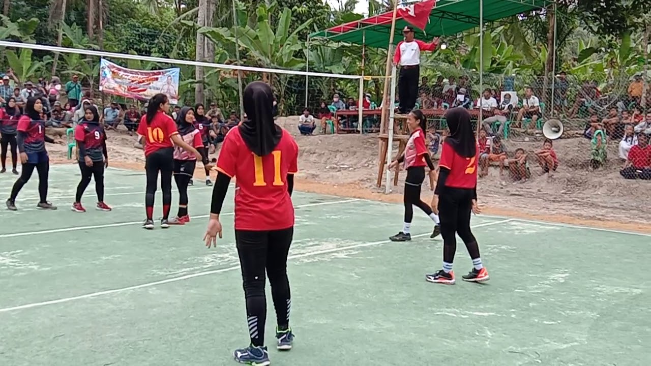 Aini cs