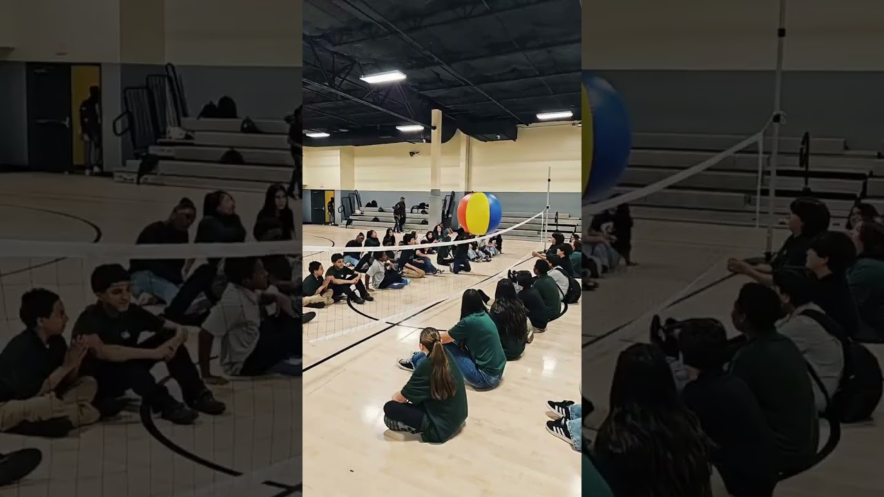 New Vision Sit-Down Volleyball