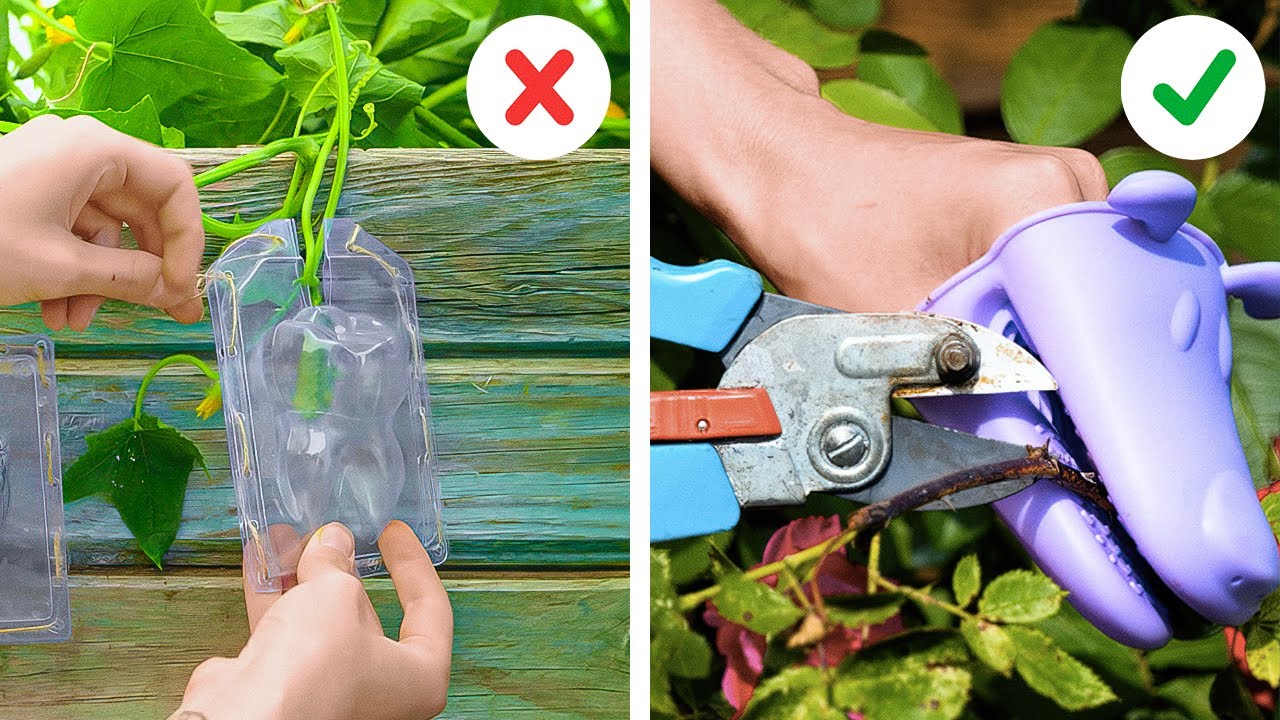 Gardening Made Easy: Hacks to Help Your Plants Flourish and Blossom
