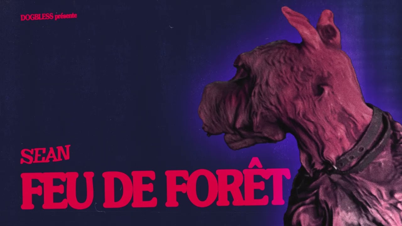 sean - FEU DE FORÊT