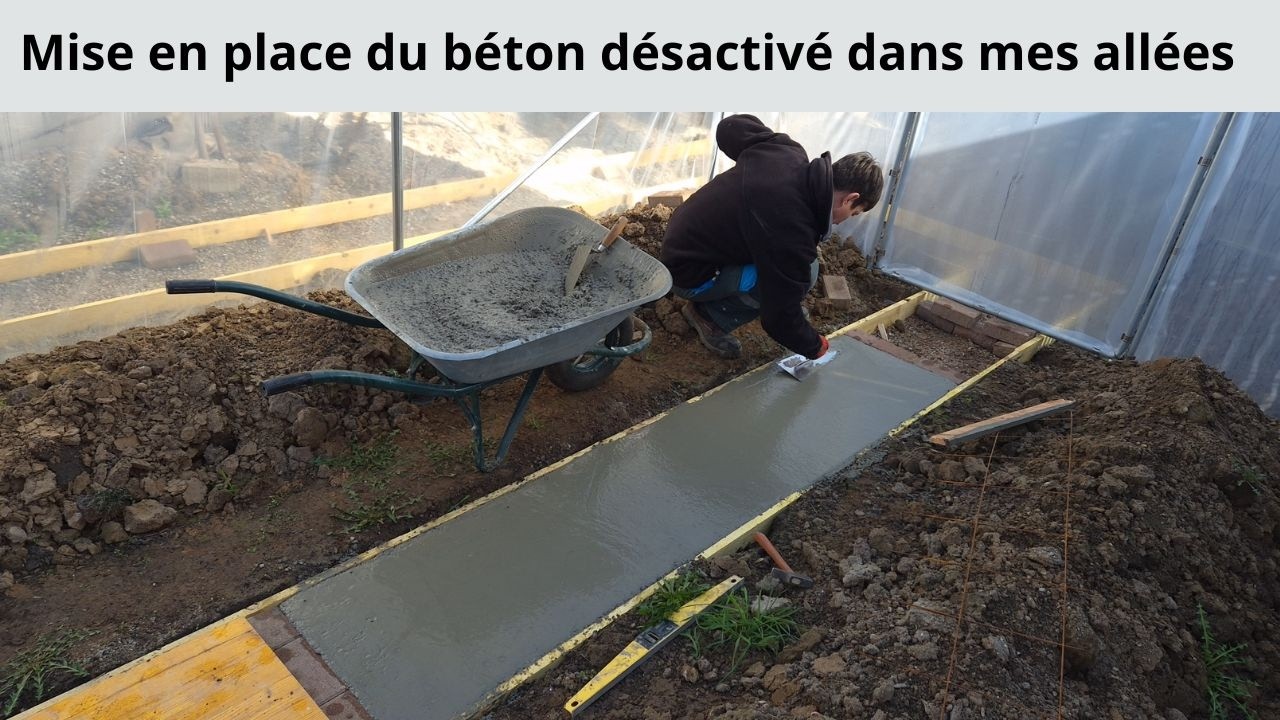 Mise en place du béton désactivé dans mes allées