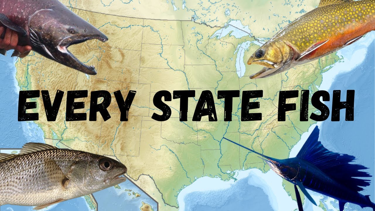 The State Fish of Every U.S. State