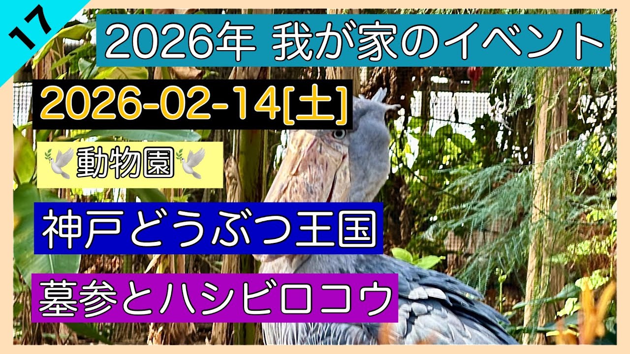 2026-02-14[土] 神戸どうぶつ王国