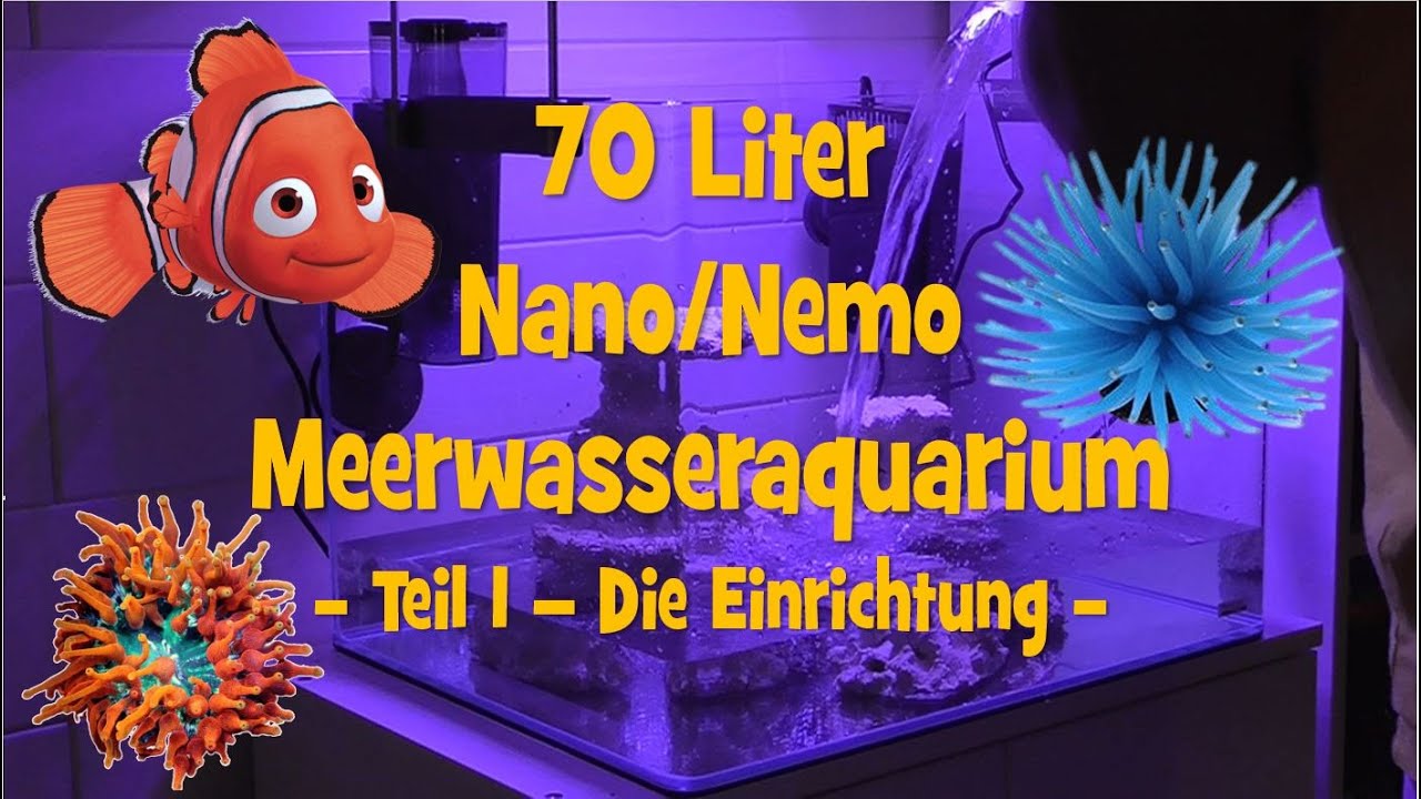 Meerwasseraquarium Nano Nemo 70 Liter - Teil 1 - Die Einrichtung -