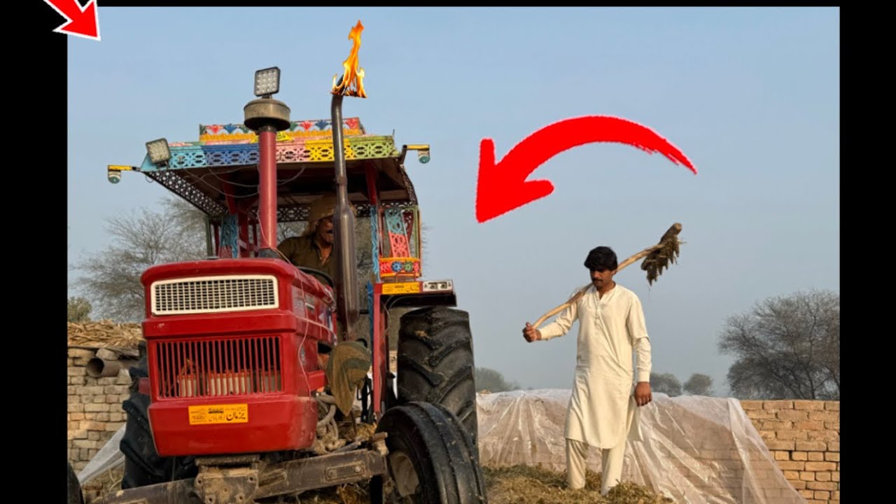 🚜 salad machine🐄🐄🚜