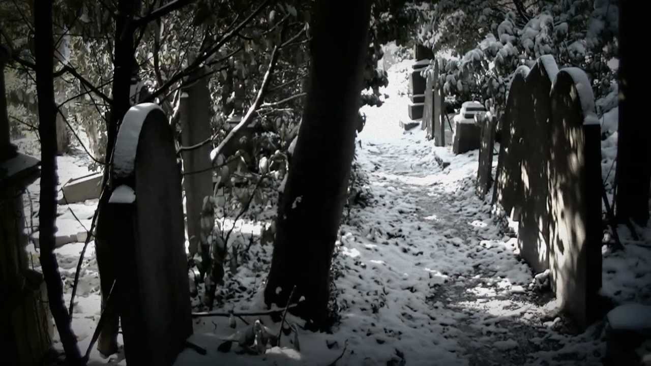 Le jardin du silence (Sous la neige) (Cimetière du Dieweg)