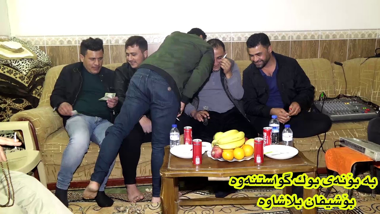 safa sharefi