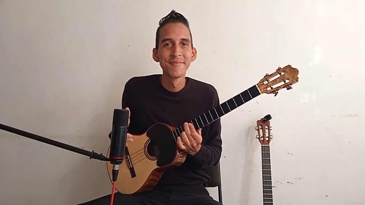 Mis cuatros del Luthier Juan María Gomez.