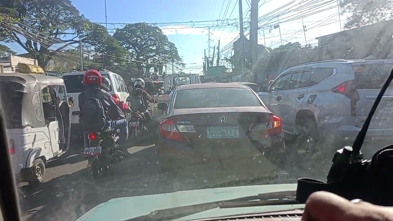 Traffic guys 