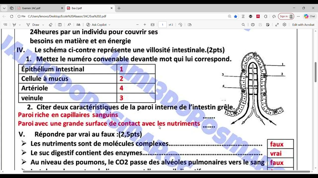Correction Examen local svt 3 AC  2025/2026  تصحيح الامتحان المحلي svt 3 AC  digestion nutrition