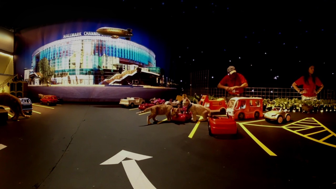 Kitten Bowl 360° - The Kitten Bowl Puuurking Lot - Hallmark Channel