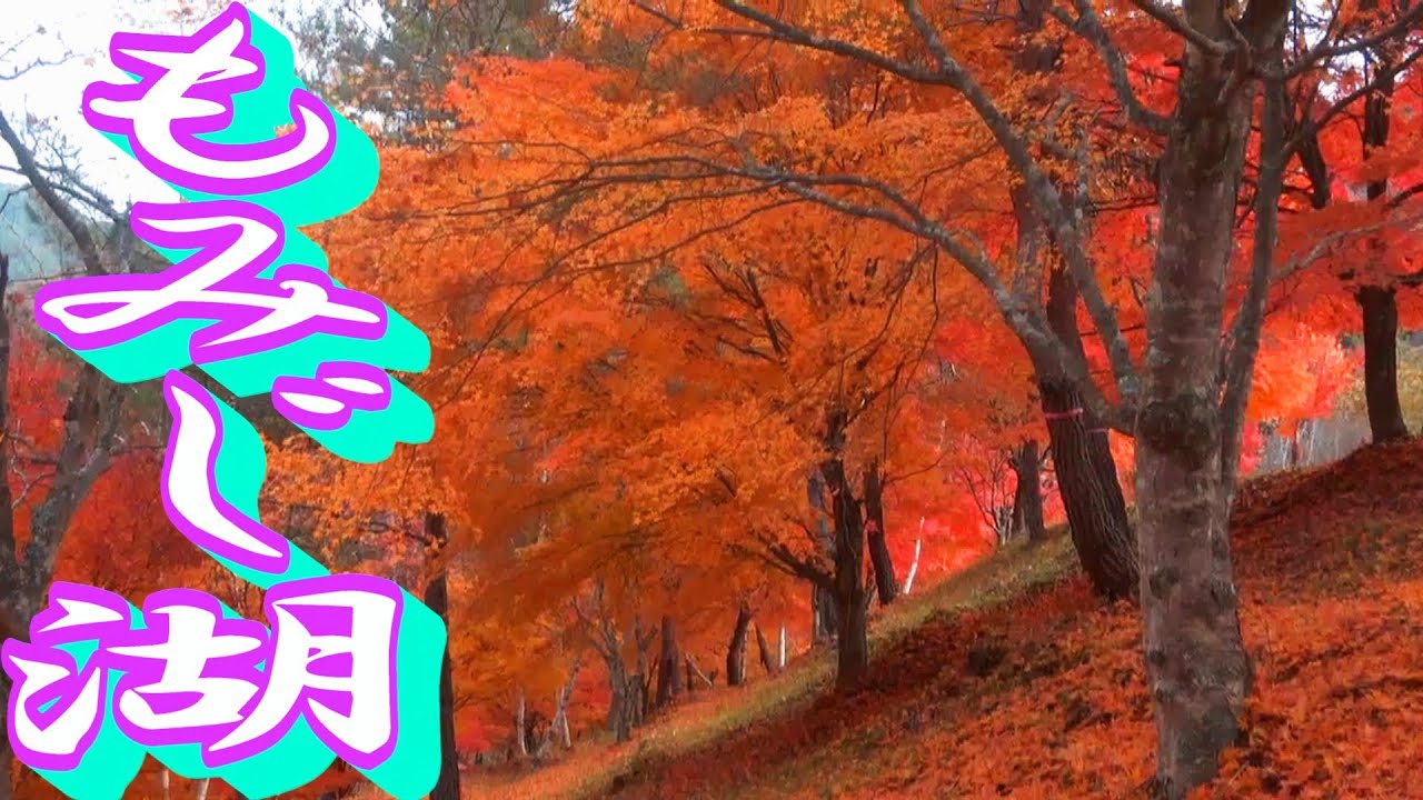 一度は行って見たかった。もみじ湖