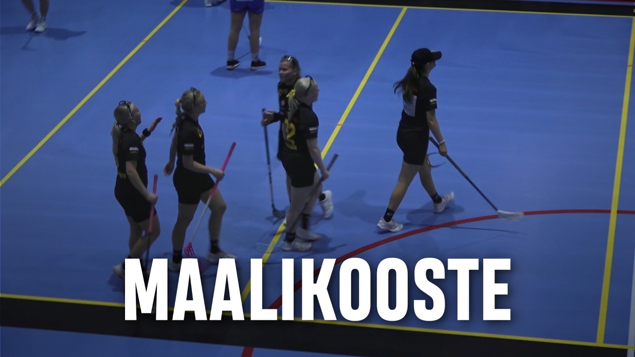 Maalikooste: Welhot - SalBa (Inssi-Divari N)