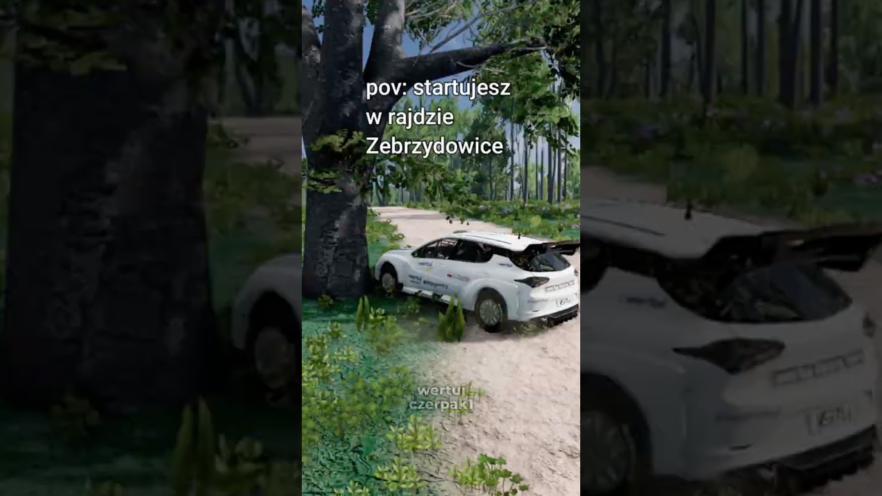 pov: normalny rajd w Zebrzydowicach 🏁#shorts #youtubeshorts #viralshorts #povshorts #beamng #rally