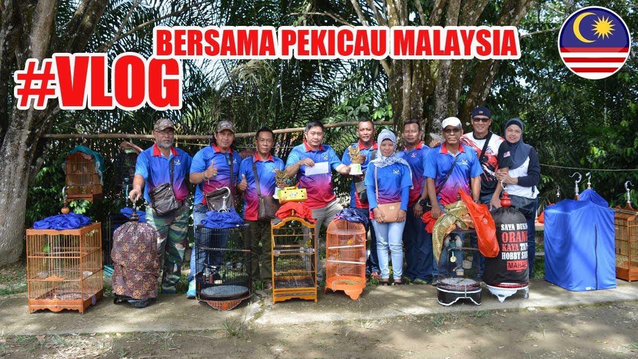 #VLOG KICAU : Bukan Uang Yang Kami Cari Tapi Silatturahmi | Edisi Bincang Sesama Pekicau Malaysia