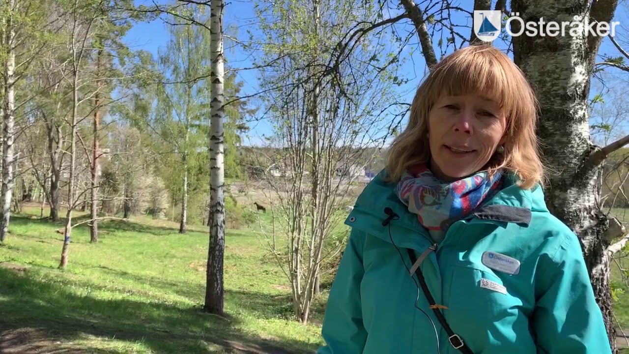 Fornl&auml;mningsspanare? F&ouml;lj med till Kuckubacken i &Aring;kersberga!