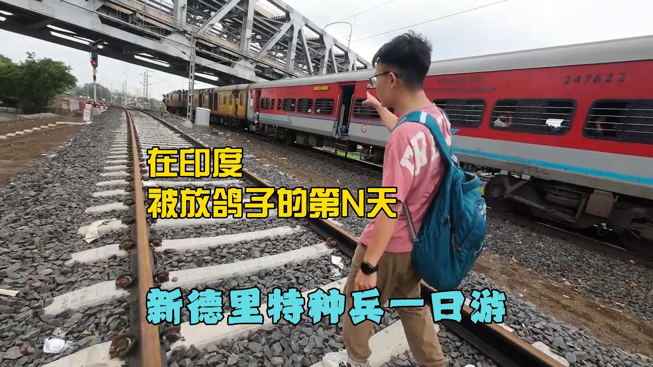新德里特种兵一日游，印度人的不守时真让人抓狂#印度 #干净又卫生 #travel