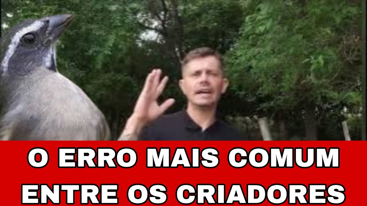 Trinca ferro foto per&iacute;odo. Como preparar trinca ferro v&iacute;deo 03